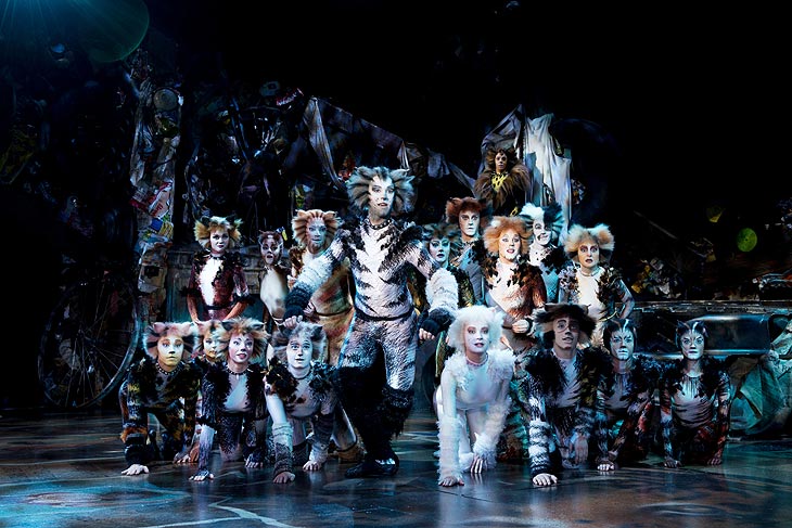 Deutsches Theater München: Cats - das Musical vom 01.06.-26.06.2022 (©Foto: Alessandro Pinna